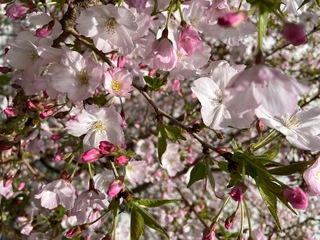 IMG_4199.jpeg