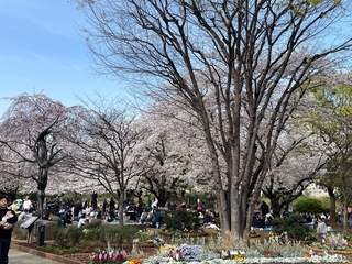 IMG_4203.jpeg