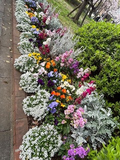 IMG_4204.jpeg