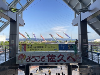 IMG_4390.jpeg