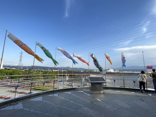 IMG_4391.jpeg